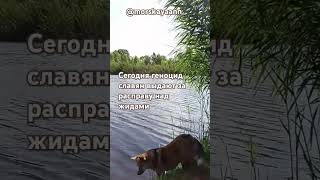 полнейшее беззаконие