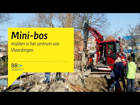 Mini bos Vlaardingen