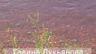 Видео футаж. Скачать бесплатно. Красивая чистая вода. Можно камушки пересчитать.