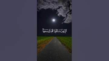 اكتب شيء تؤجر عليه..💚😴 #القارئ ياسر الدوسري