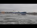 Санкт-петербург финский залив