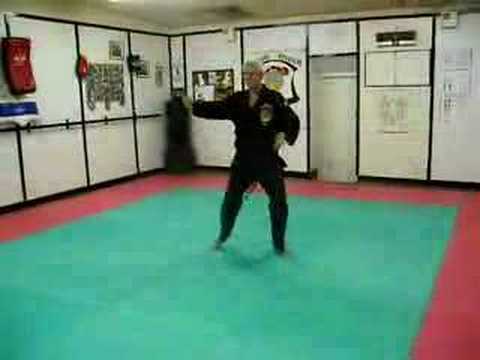 Kenpo Tommy Jordan Form 5