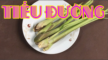 Bài thuốc nam chữa bệnh tiểu đường cực hiệu quả bằng củ sả [Sức khỏe]