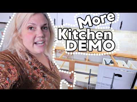 mobile-home-kitchen-renovation-cabinet-demo