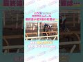 宝塚記念 GⅠ トレセン直撃取材！ #競馬 #宝塚記念 #クロワデュノール #斉藤崇史 調教師