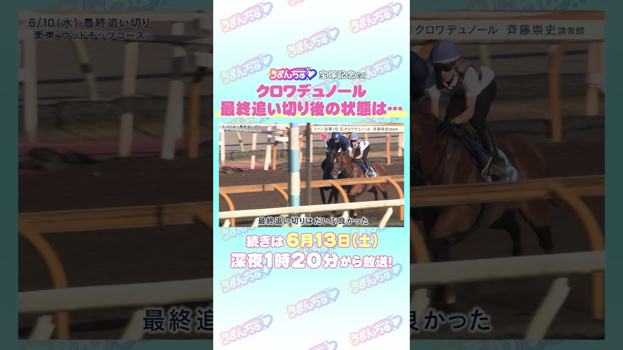 関連動画2