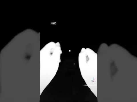 حب عمرى كيمو كونو