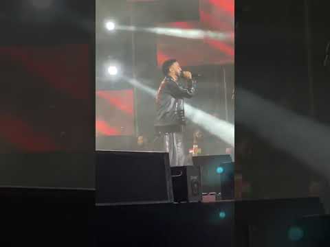 حفل احمد الصادق الامراطور في مصر فاميلي بارك