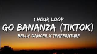 Belly Dancer x Temperature (1 hour loop) | (TikTok Remix) Dont Be Shy Girl Go Bananza