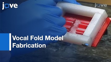 Synthetic, Multi-Layer, Self-Oscillating Vocal Fold Model Fabrication l Protocol Preview