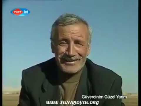 Şanlıurfa Güvercin Belgeseli