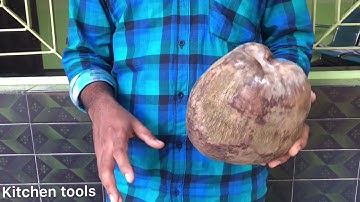 How to open a Coconuts  .  Without any tools