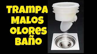 Solución Fácil Mal Olor Baño