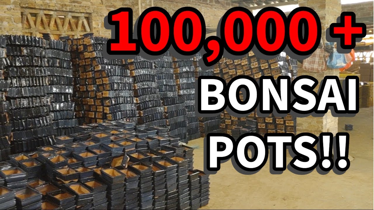 NEVER BEFORE SEEN!! Bonsai pot factory behind the scenes.