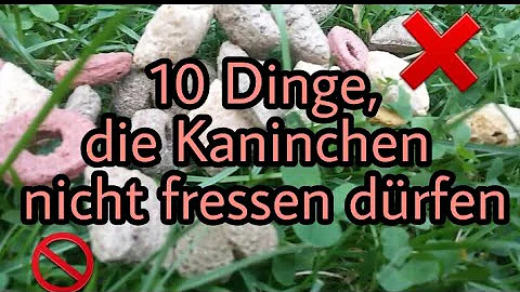 Was dürfen Kaninchen alles aus dem Garten fressen?