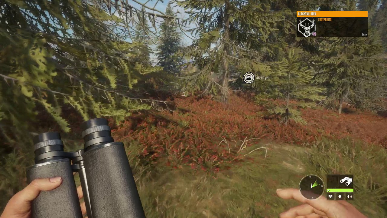 TheHunter Call of The Wild Blacktail Deer Hunting YouTube