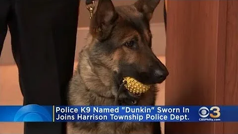 Police K9 Named 'Dunkin' Joins Harrison Township P...