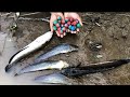 Fireball Bomb Fishing l Man Using Fireball Bomb fishing Fishes From Mud l Get Real Fish 100%