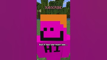 the most unknown item in minecraft