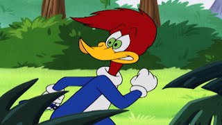 Woody Escapes the Jungle | Woody Woodpecker screenshot 3