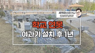 여과기가 설치 된 연못, 녹조제거 청소하기