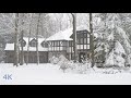 Today Winter Snow Storm in Toronto Area Beautiful Cozy Homes in Forest Snowfall sound