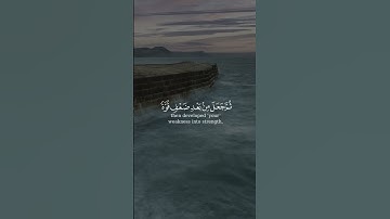 الله الذي خلقكم من سورة الروم بصوت الشيخ رعد الكردي