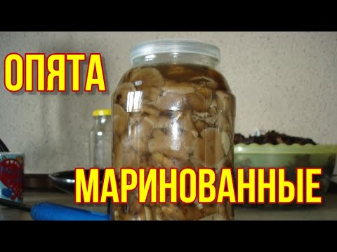 Съедаются моментально! ОПЯТА МАРИНОВАННЫЕ! Обалденно вкусные на зиму