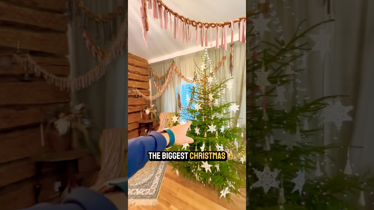 $155 Christmas Apartment in Latvia 🇱🇻