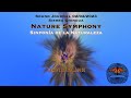 Nature symphony  sinfona de la naturaleza  monarc.ipity david blink official