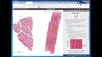 Module 1 Quiz Part B Video Review