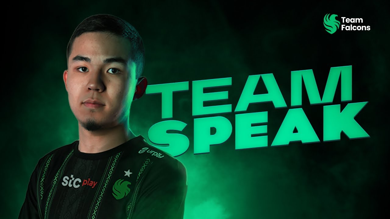 TEAM SPEAK - PMPL FINAL | 13 KILL ( SOLO 7 KILL )