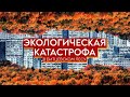 Экологическая катастрофа Битцевского леса | Сохраним Битцевский лес