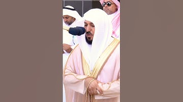 أفلا ينظرون إلى الإبل كيف خلقت ~ من أجمل التلاوات بصوت الشيخ ماهر المعيقلي❤