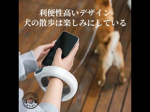 犬にペディアライトは危険？獣医師が教える正しい水分補給法