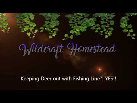 Invisible Deer Fencing Using Fishing Line Plus New Way To Make A