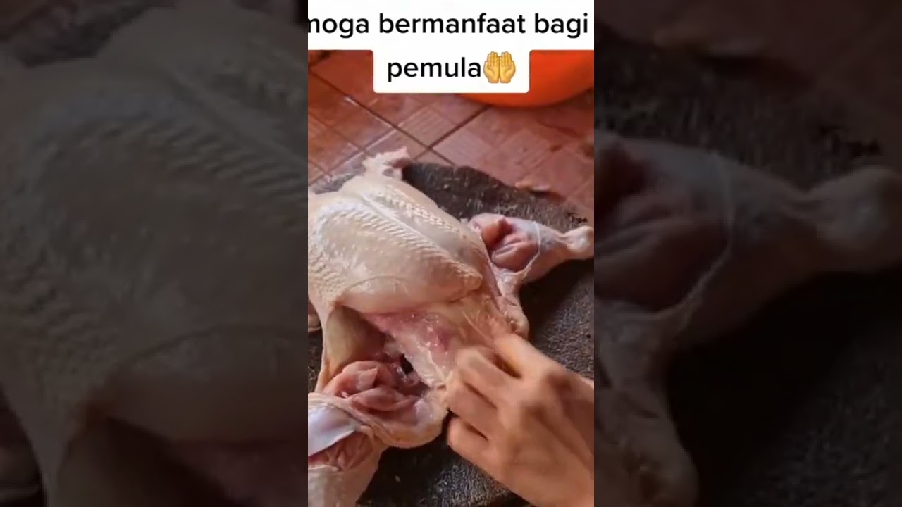 CARA BUANG TULANG AYAM MUDAH BANGET,SEMOGA BERMANFAAT