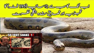 BIGGEST SNAKE EVER 195 FT informative Baba BIGGEST Snake EVER Analyzed & Confirmed Wild Nature Urdu