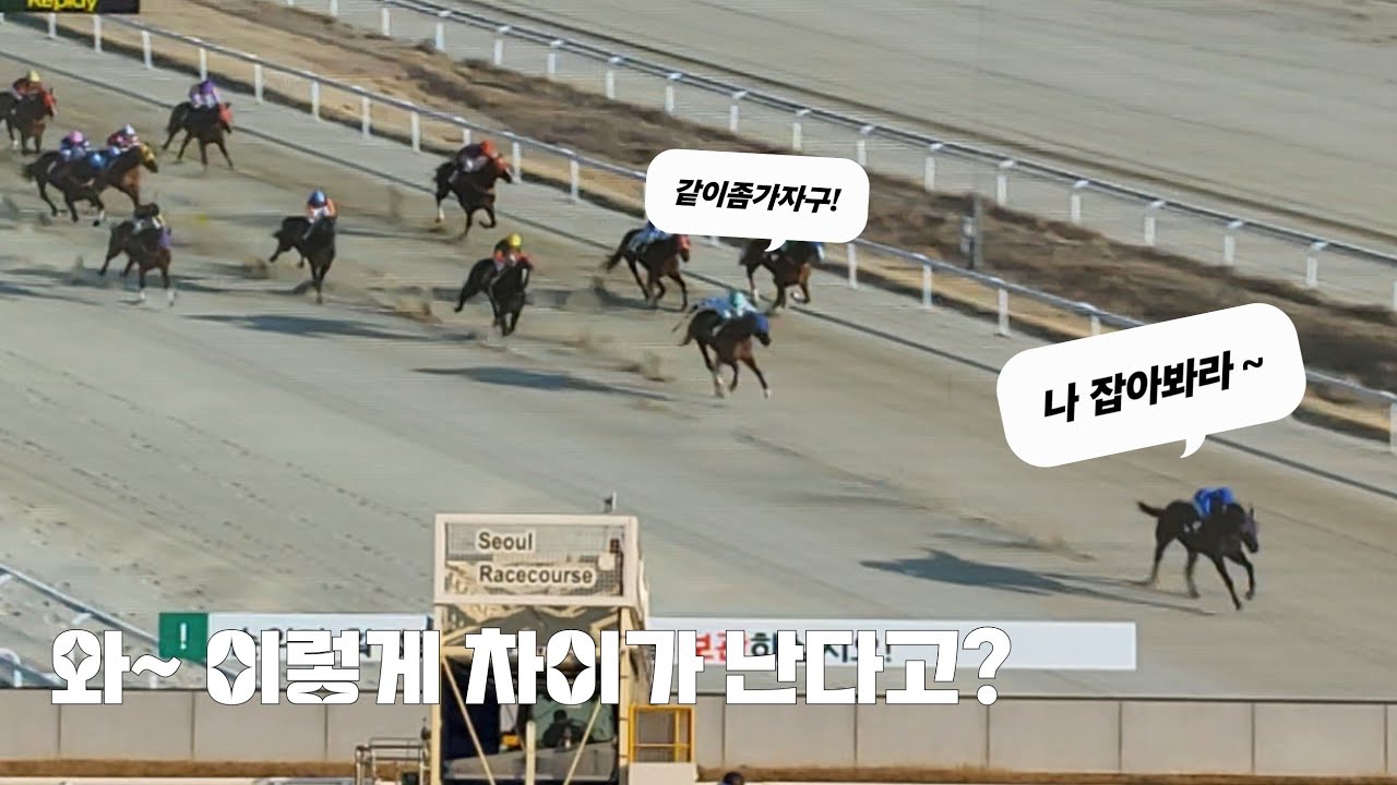 이말은 정말로 압도적이구나!(벌마브라운/서승운) 부산경마