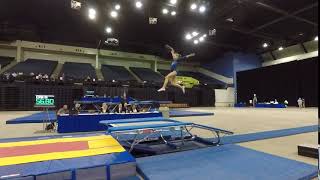 Stella - Double Mini - Level 6 - Pass #2 - 2018 Regional Championships