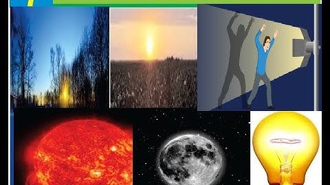 Class 5 Science Chapter 7 from STBB publisher book for PST and JEST Test preparation