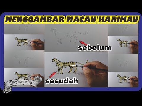  Menggambar  macan menggunakan  pensil  dan drawing pen dengan 