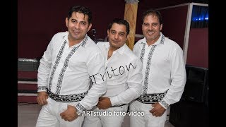 2017 HD/ Triton Live in Italia/ populara/ by ARTstudio foto-video 2017 HD/ Triton Live in Italia/ populara/ by ARTstudio foto-video