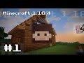 Minecraft 1.16.4 - хардкорное выживание.(Часть 1). Приручение котиков и строительство домов.