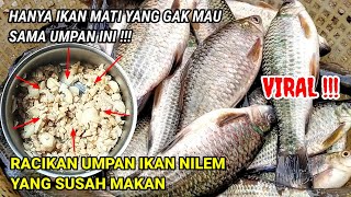 umpan ikan nilem yang susah makan || racikan umpan nilem sungai versi @rendymancing