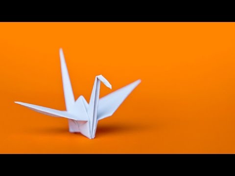 Video: Làm Thế Nào để Làm Một Con Chim Origami