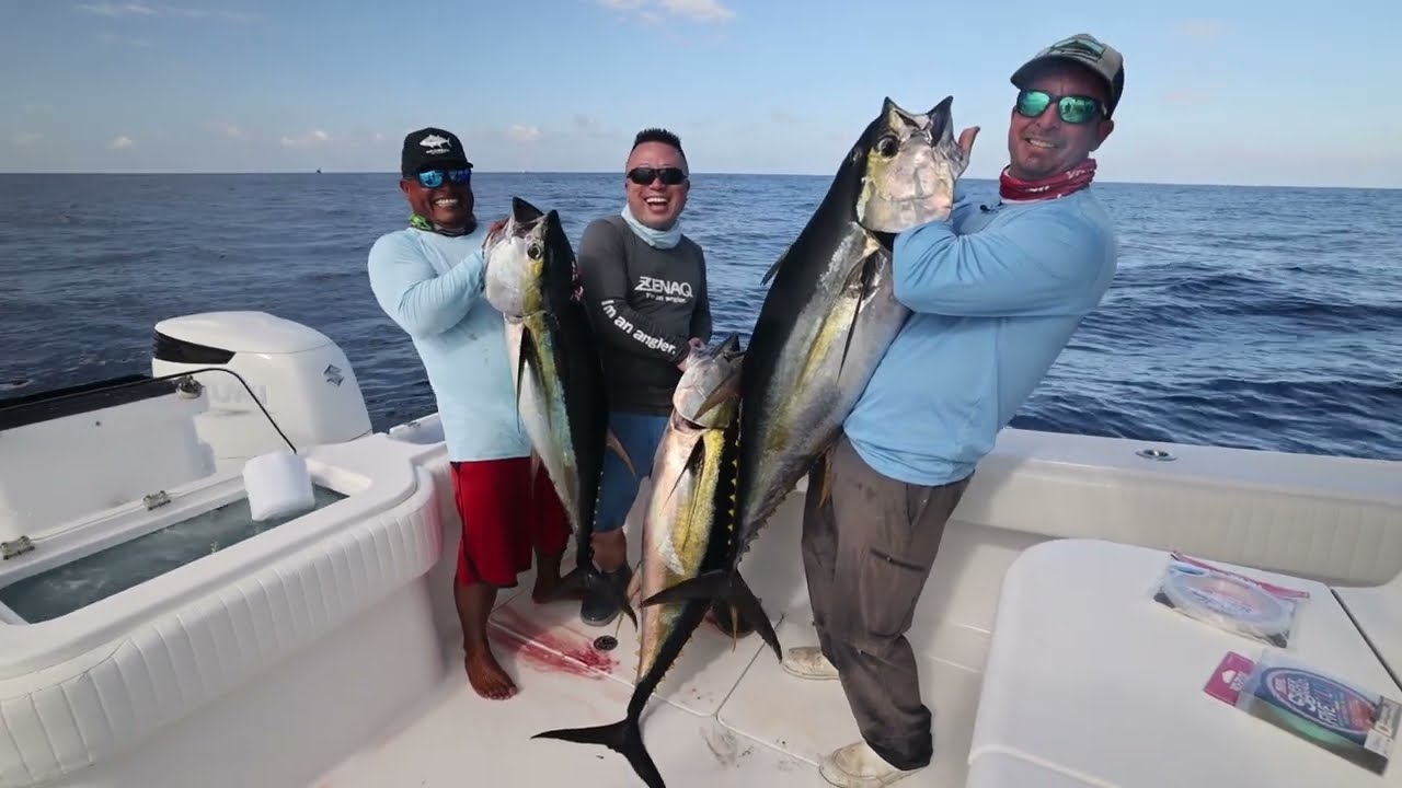 Yellowfin Tuna Mania! - Day 2 with @YoZuri TV at Sport Fish Panama Island Lodge 2023