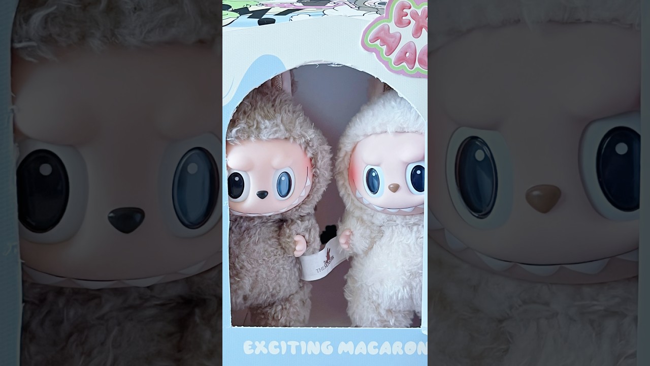 DIY Labubu House for Toffee & Soybean🤎🤍| Unboxing Exciting Macaron from Pop Mart 