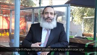 הרב פנגר - מה אפשר ללמוד מחמורים ועגלות?