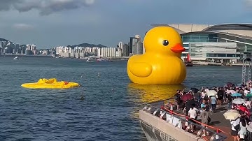 Giant inflatable duck deflates in Victoria Harbour